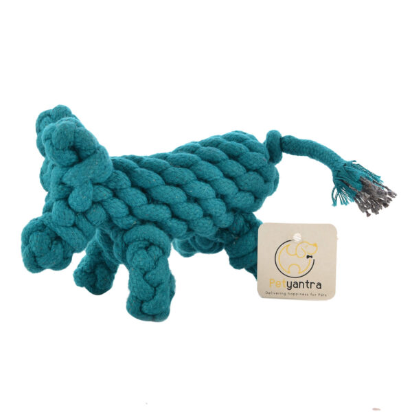 Petyantra dog rope toy