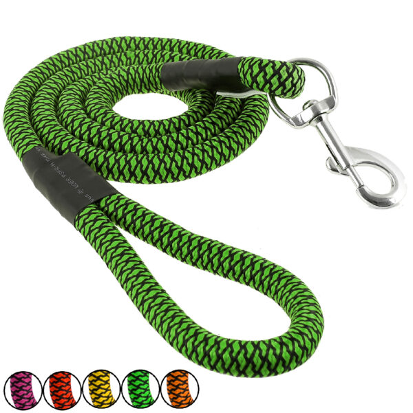 Large dog leash