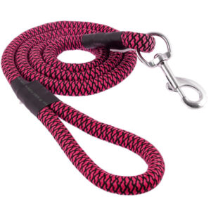 dog leash