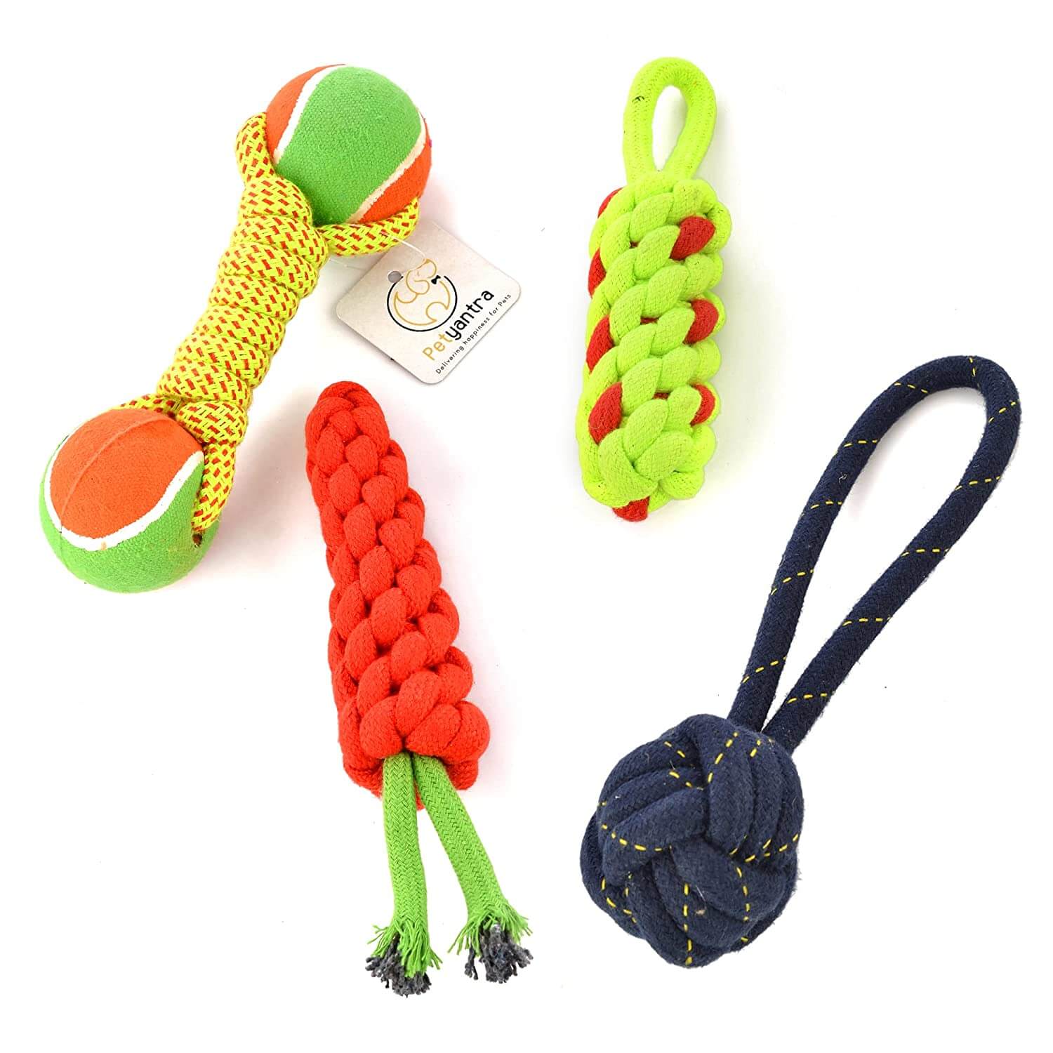 Knotted Small Puppy Toys