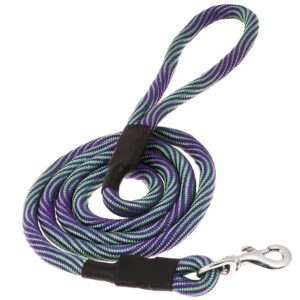 Dog leash lead