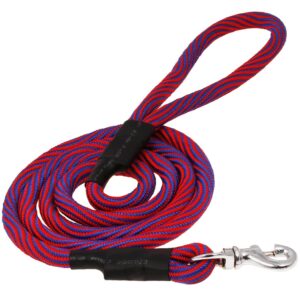 Dog Leash Lead