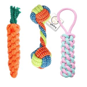 Chew Teething Rope Toys