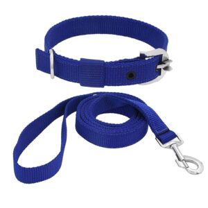 Dog Collar Belt