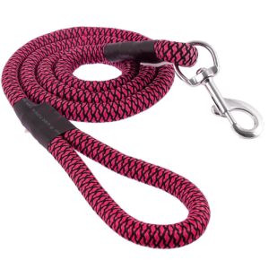 Dog Leash Lead