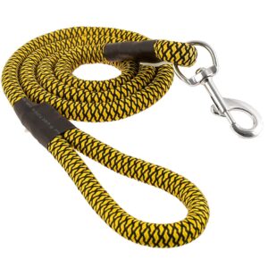 Dog Leash Lead