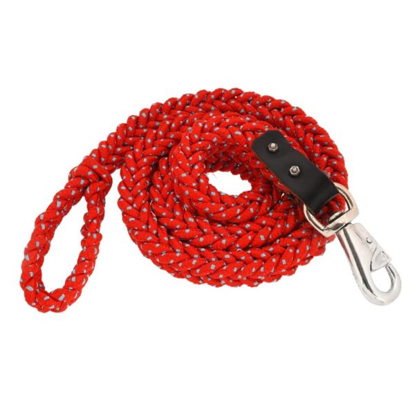 Rope Dog Leash