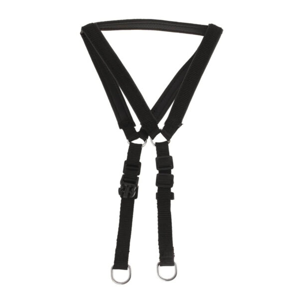 Dog Harness Leash