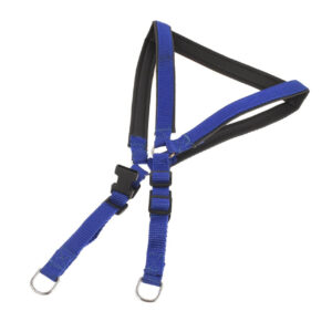 Dog Harness Leash