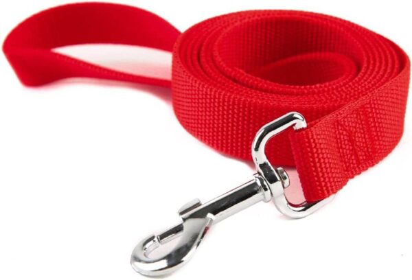 Dog Leash