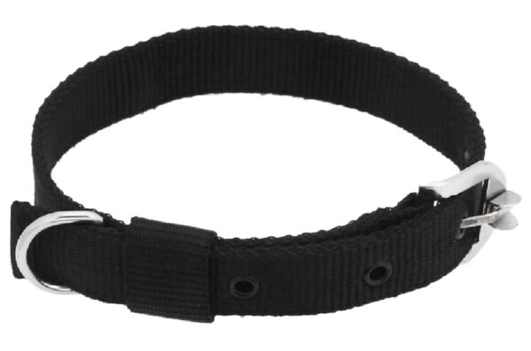 Dog Neck Collar Belt