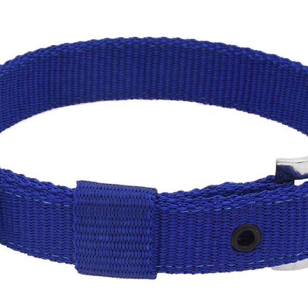 Dog Neck Collar Belt