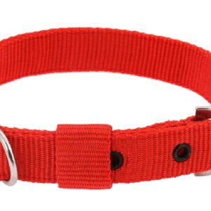 Dog Neck Collar Leash