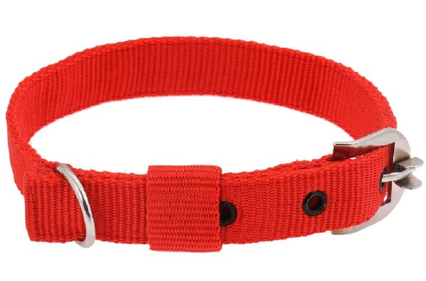 Dog Neck Collar Leash