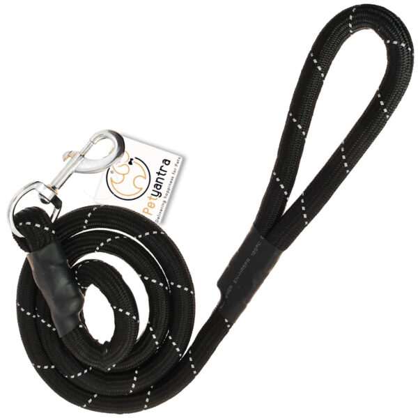 Dog Leash Lead