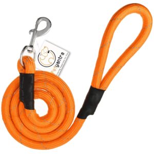 Dog Leash Lead