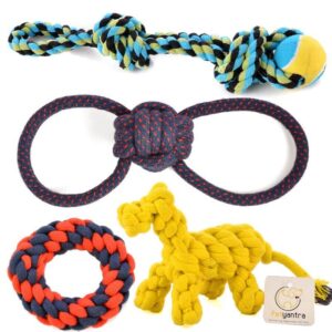 tug toy for dogs