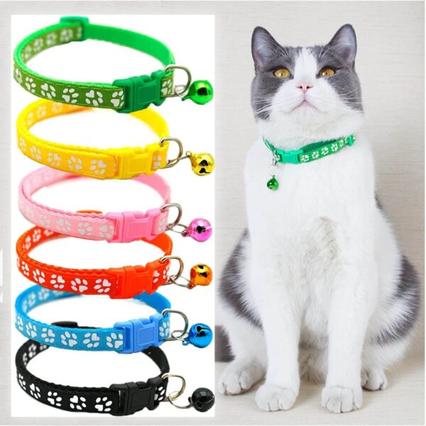 kitty Neckband