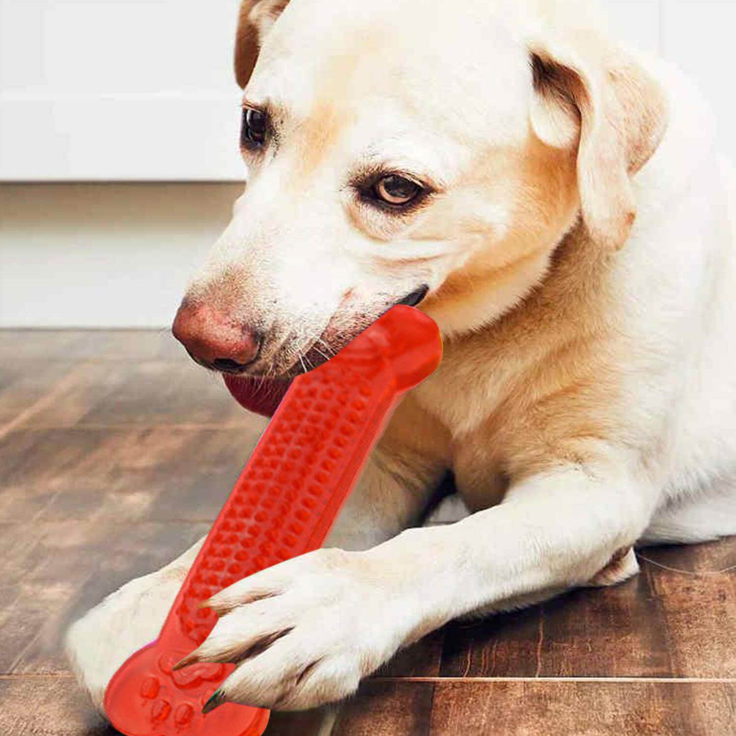 Lovely Plush Pet Dog Toy Bones Daily Fun and Teeth Clean Dog Entertainment  Funny Dog Squeaky Bone Toy For Pet Puppy Chew