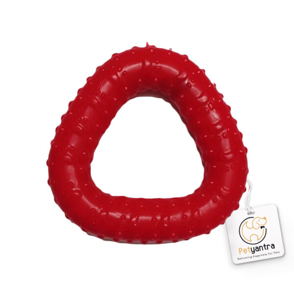 Triangle Ring Dog Chew Toy